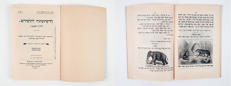 Vasemmalla on heprean kielellä julkaistu kirja, josta on avattuna nimiösivu. Oikealla on sama kirja avattuna kohdasta, jossa on hepreankielistä tekstiä ja kaksi painettua kuvaa, toisessa on norsu ja toisessa susi ja kettu.
